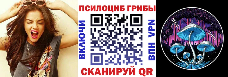 Псилоцибиновые грибы мухоморы  Купить где  Приволжский 