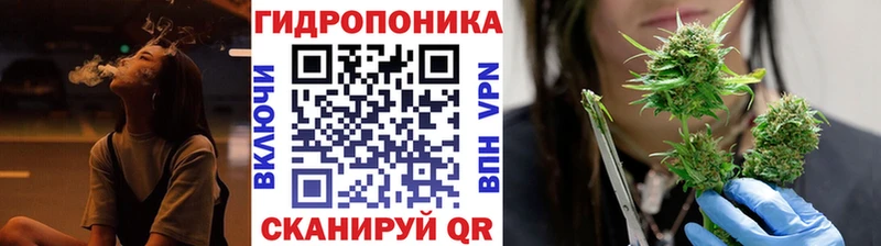 Бошки марихуана Ganja  Купить закладки  Приволжский 